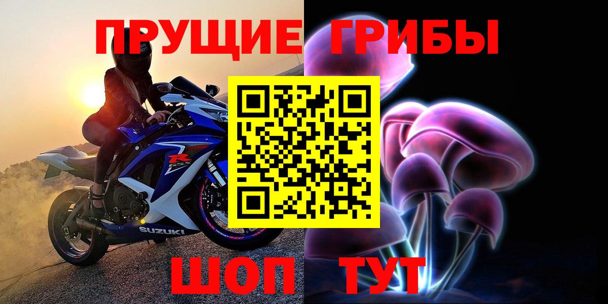 Норильск  Псилоцибиновые грибы Cubensis  Галлюциногенные грибы Cubensis  Вход с VPN 